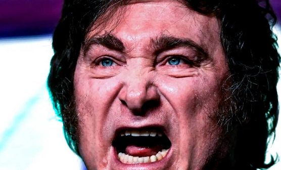 Milei utilizó la palabra “mogólico” como insulto y fue repudiado por Asdra y por la vice de Jorge Macri