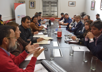 La Legislatura avanza en el tratamiento de la Ley de Oncopediatria