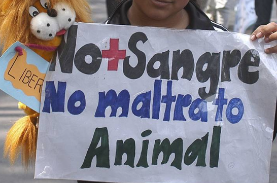 Palpalá: Condenaron a dos años y seis meses de prisión en ejecución condicional por maltrato animal
