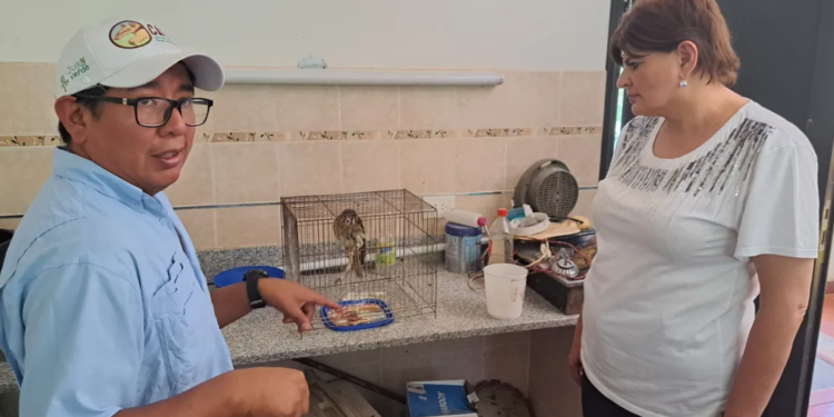 Acondicionamiento del CAFAJu para garantizar la conservación de especies