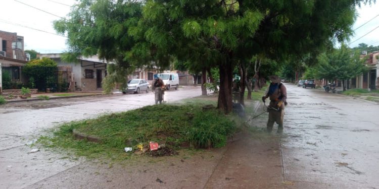 Continúa el operativo de desmalezamiento en San Pedro