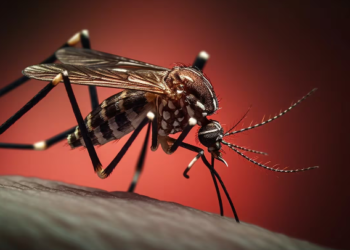 ¿Qué pasa si una persona se enferma de dengue por segunda vez?