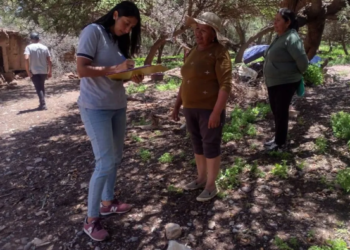 Temporal: Desarrollo Humano relevó a familias damnificadas por el temporal en Purmamarca y Humahuaca
