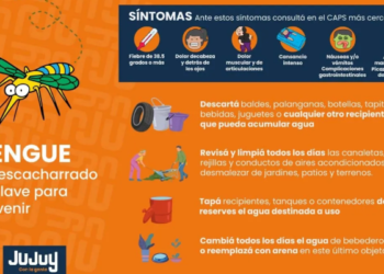 Dengue: con síntomas, la consulta debe ser inmediata