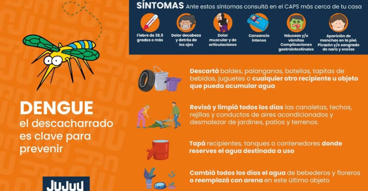 Dengue: con síntomas, la consulta debe ser inmediata