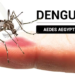 Cómo identificar al mosquito del dengue y en qué momento del día pica más