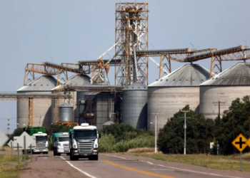 Tras la caída de 2023, anticipan que este año seguirá la recesión: cuáles serán los sectores más afectados