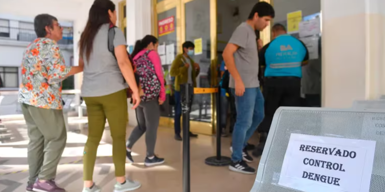 Brote histórico de dengue: en qué zonas de Argentina la epidemia golpea más fuerte
