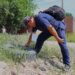 Rige alerta sanitaria por dengue en la provincia