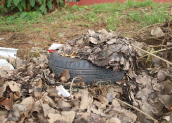 Se registraron 2956 nuevos casos de dengue en la provincia