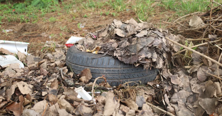 Se registraron 2956 nuevos casos de dengue en la provincia