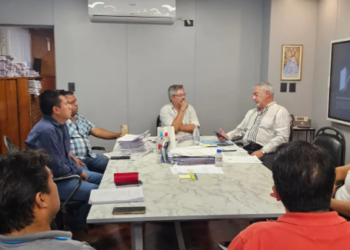 Lucha contra el dengue: jefes comunales de Santa Bárbara se reunieron con el ministro de Salud para avanzar en una agenda de trabajo conjunto