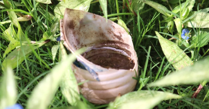 Jujuy suma un total de 12592 resultados positivos para la infección