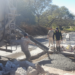 Continúa el Plan Integral de Bacheo en San Pedro