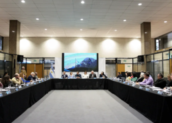 Los fondos 2024 de la Ley de Bosques estarán disponibles para su distribución