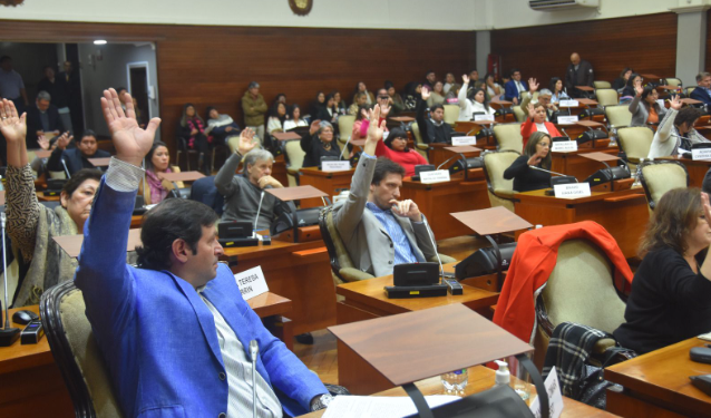 Tomó estado parlamentario el Proyecto de Adhesión al Régimen de Incentivo para las Grandes Inversiones (RIGI)