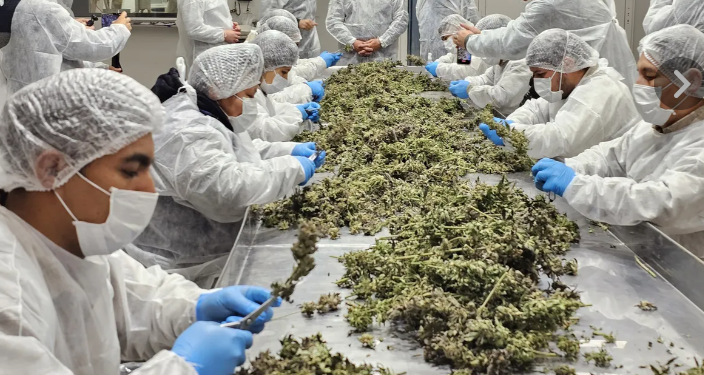 El Gobierno de Jujuy afianza su compromiso con el desarrollo industrial y el crecimiento económico Local