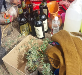 Ley 26.331: Conservación de los bosques de queñoa en Arbolito Nuevo