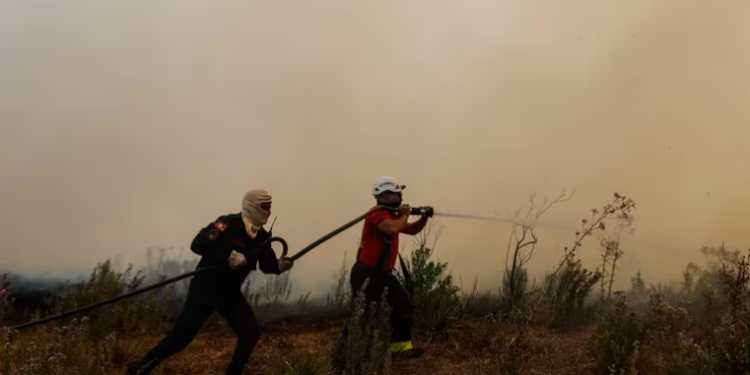Incendios forestales siguen afectando a dos provincias del centro de Argentina