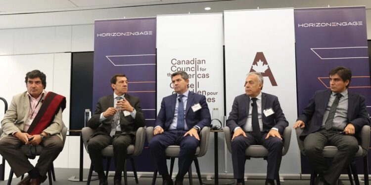 «Jujuy tiene los minerales que el mundo necesita», afirmó Sadir en Canadá