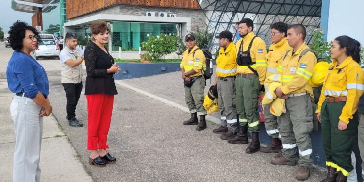 Gran desempeño de brigadistas de Jujuy, en Neuquén