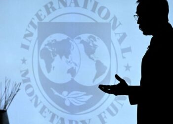 Semana clave para el gobierno: el FMI analiza el apoyo financiero para Argentina