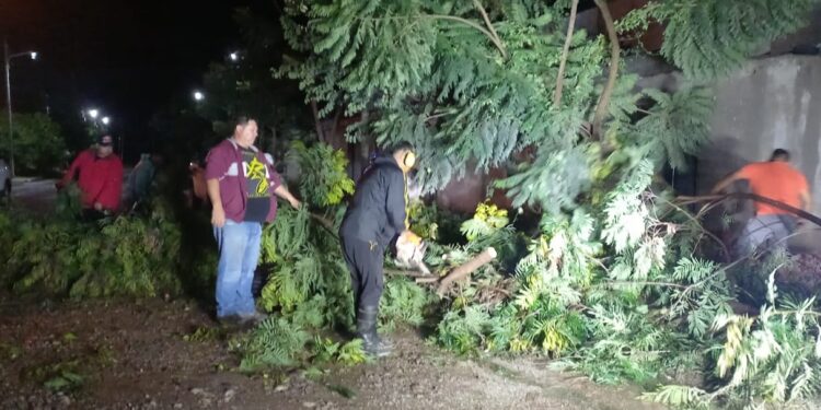 Inmediata asistencia del municipio de Monterrico luego del temporal