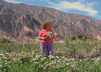 Entre ellos, Maimará: Ocho pueblos argentinos candidatos a ser los mejores del mundo