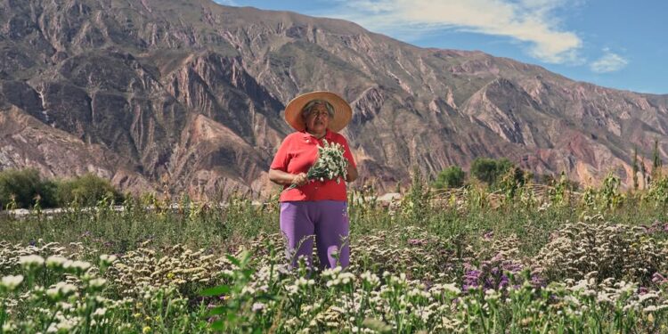 Entre ellos, Maimará: Ocho pueblos argentinos candidatos a ser los mejores del mundo