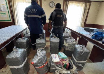 Santa Fe: Encuentran casi media tonelada de cocaína en un buque en el puerto de Vicentin en San Lorenzo