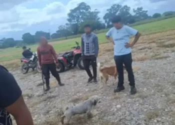 Condena en suspenso: Dos años de cárcel para un joven que mató a tiros a una perra en Los Alisos