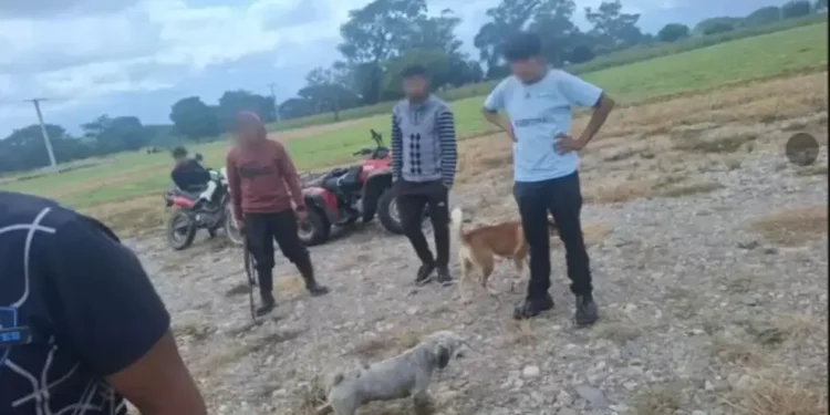 Condena en suspenso: Dos años de cárcel para un joven que mató a tiros a una perra en Los Alisos