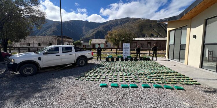 En plena puna: En distintos procedimientos se decomisaron más de una tonelada de hojas de coca