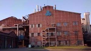 Plan motosierra y despidos masivos en el Ingenio Ledesma y el Tabacal