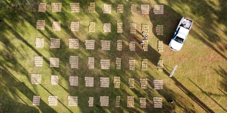 Misiones: Prefectura Naval Argentina frenó un narcocargamento millonario en el Paraná