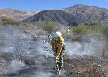 Rápido despliegue para controlar un incendio forestal en Volcán