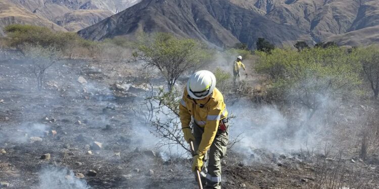 Rápido despliegue para controlar un incendio forestal en Volcán