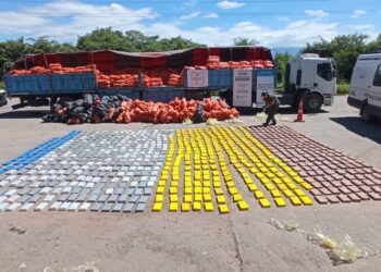 Detienen al proveedor del Clan “Brizuela” que distribuía cocaína desde Bolivia hacia las provincias de Salta y Jujuy