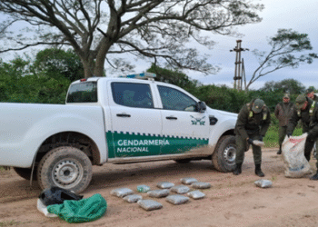 Chaco: Hallan entre la maleza acondicionados en dos bolsas arpilleras más de 29 kilos de marihuana