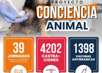 Conciencia Animal realizó desde abril más de 4 mil castraciones