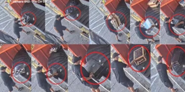 Revelan que 10 valijas que trajo un avión de un empresario cercano al Gobierno entraron al país sin control