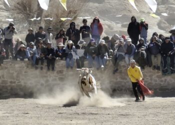 Casabindo: se llevó a cabo la celebración de la Asunción de la Virgen María y el tradicional toreo de la vincha