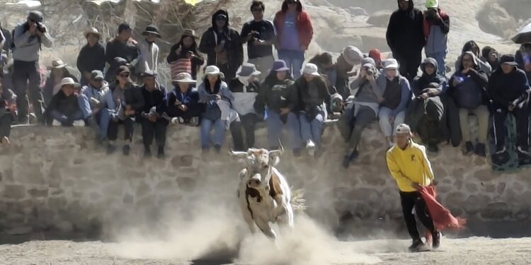 Casabindo: se llevó a cabo la celebración de la Asunción de la Virgen María y el tradicional toreo de la vincha