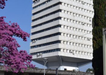 Día del abogado: serán inhábiles a todos los efectos procesales los días 29 de agosto y 5 de septiembre en el poder judicial. No obstante, la actividad será normal