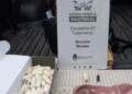 Catamarca: Transportaban 215 cápsulas con cocaína ingeridas y dentro de medias