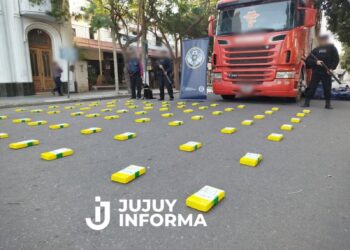 Hallaron entre bananas y papayas un cargamento de cocaína con la marca del Delfín valuado en $360 millones