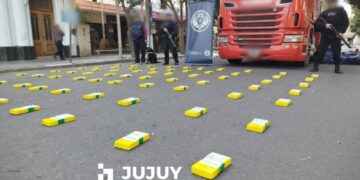 Hallaron entre bananas y papayas un cargamento de cocaína con la marca del Delfín valuado en $360 millones