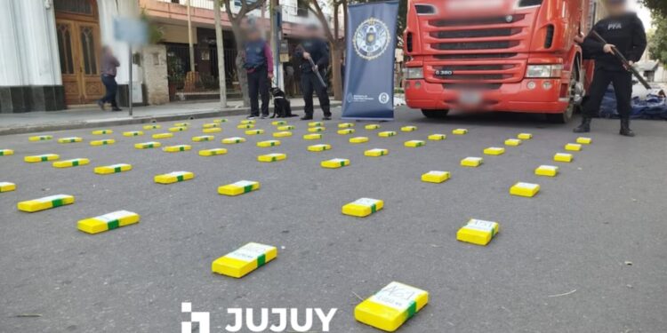 Hallaron entre bananas y papayas un cargamento de cocaína con la marca del Delfín valuado en $360 millones