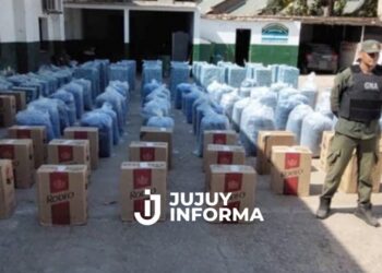 Jujuy: Secuestraron una tonelada de hojas de coca y 55 mil paquetes de cigarrillos extranjeros que eran llevados sin el aval legal