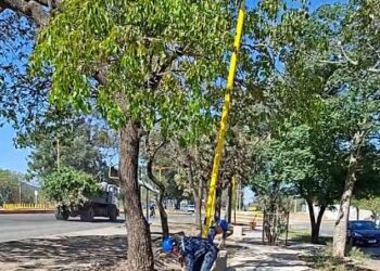 En San Pedro de Jujuy se realiza recambio de luminaria